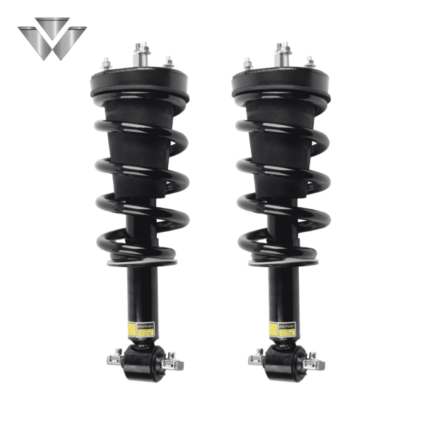 Cadillac Shock Absorber